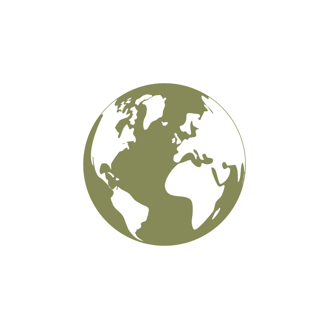 Earth Icon Earth Icon