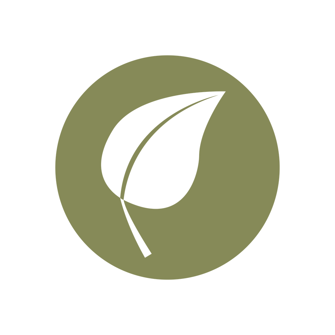 Leaf Icon No BG Leaf Icon No BG
